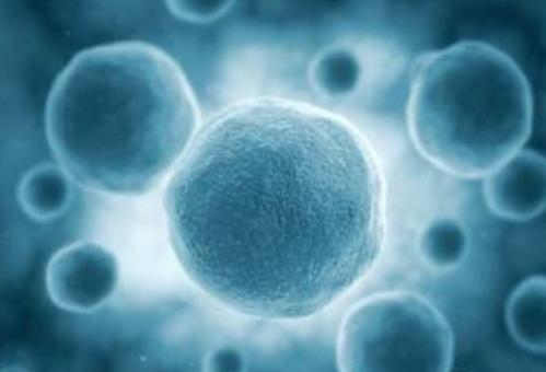 低压无油空压机在发酵工程当中的应用